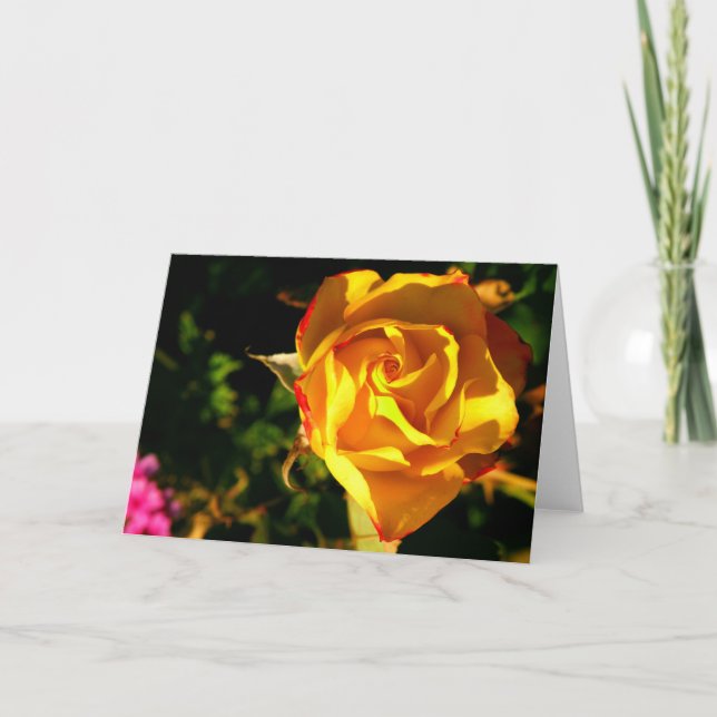 Orange ro helgkort (Framsida)