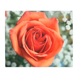 Orange Ro i babyns utandningsekonst i Metall