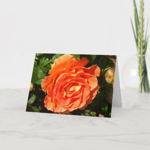 ORANGE RO I SÖT BLOMMIGT KORT