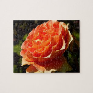 Orange Ro II Vackra Blommigten Pussel