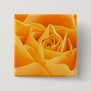 Orange Ro Knapp