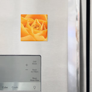 Orange Ro Magnet