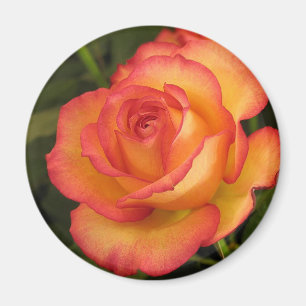 Orange Ro Magnet