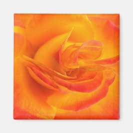 Orange Ro Magnet