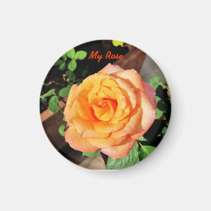 Orange Ro Magnet