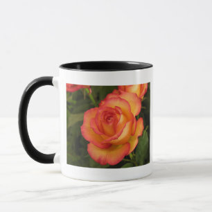 Orange Ro Mugg
