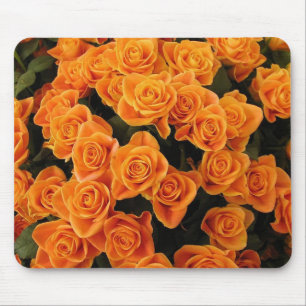Orange Ro-musknapp Musmatta