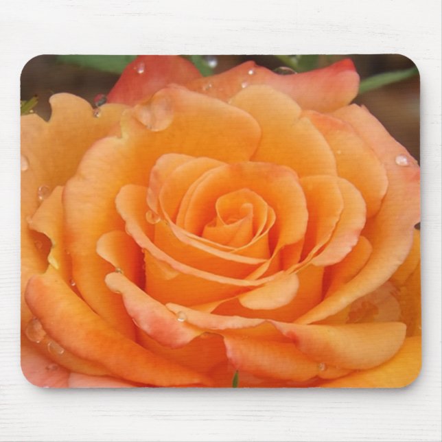 Orange Ro Musmatta (Framsidan)