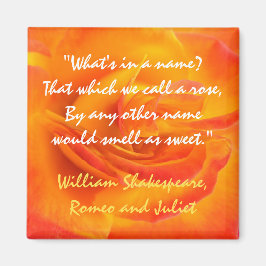Orange Ro Offertmagnet Magnet