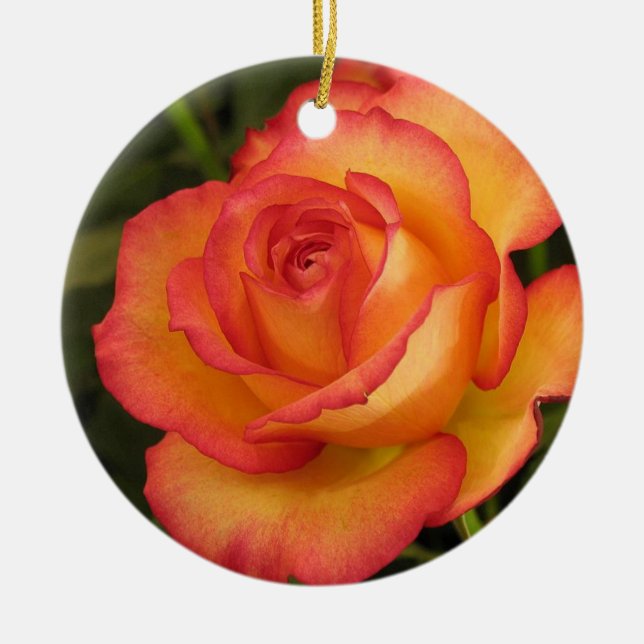 Orange Ro Ornament (Framsidan)