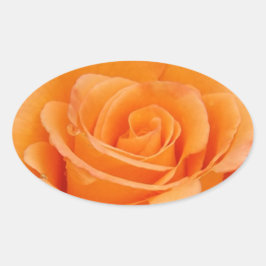 Orange Ro Ovalt Klistermärke