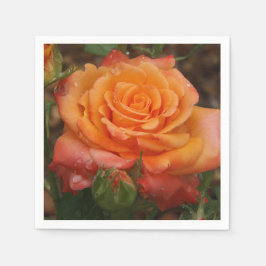 Orange Ro Pappersservett