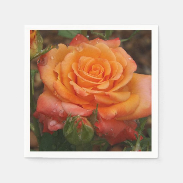 Orange Ro Pappersservett (Framsidan)