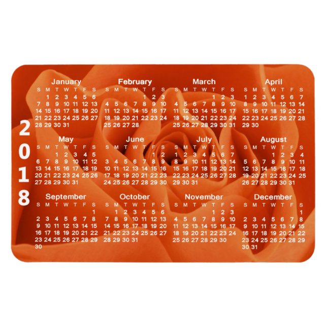 Orange Ro Petals 2018 Kalender Magnet (Horisontell)