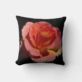Orange Ro Pillow Kudde