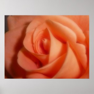 Orange Ro Poster