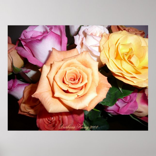 Orange Ro Poster (Framsidan)