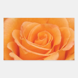 Orange Ro Rektangulärt Klistermärke