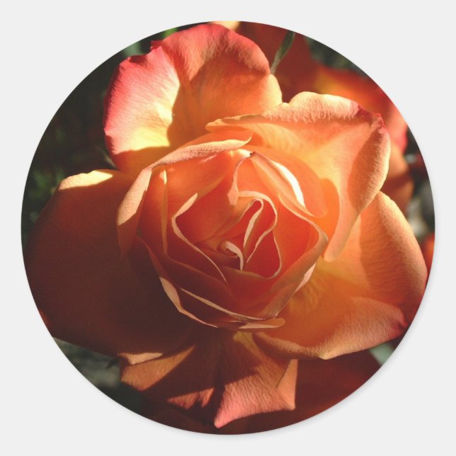 Orange ro Sticker Runt Klistermärke (Framsida)