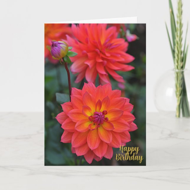 Orange, röd, Gult Dahlia Flower Grattis på födelse Kort (Framsida)