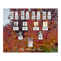 Orange, Röd, Lila Löv höstfamiljens Träd Poster