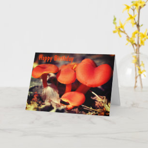 Orange Röda svampar Naturlig födelsedag Kort
