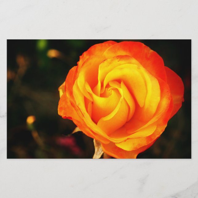 Orange ros brevpapper (Framsida)