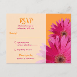 Orange Rosa Gerbera Daisy Bröllops-svarskort OSA Kort