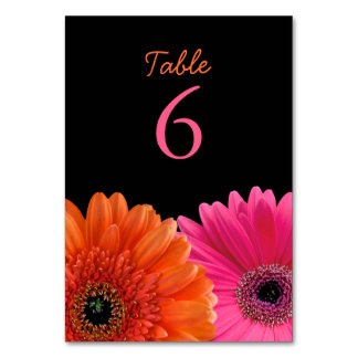 Orange Rosa Gerbera Gerber Daisy Black Bröllop Bordsnummer