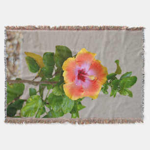 Orange rosa Hibiscus-blomman Throw Blanket Mysfilt