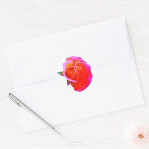 Orange Rosa ros Stikers Runt Klistermärke