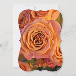 Orange Rosa Snyggt Tack Platt Notkort Kort