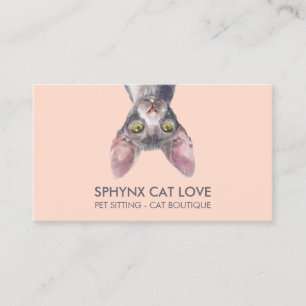 Orange Rosa Sphynx Katt Visitkort