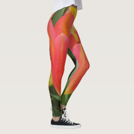 Orange/Rosa Tulip Leggings