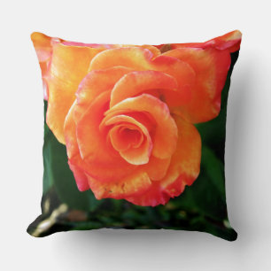 Orange Rose Fotografering Kudde