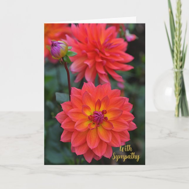 Orange, rött, Gult Dahlia blomma med sympati Kort (Framsida)