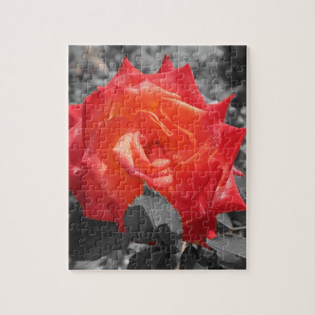 orange, rött, ro, blått, bröllop, grått, konst pussel (Vertikal)