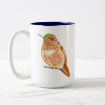 Orange Roufus Hummingbird Illustration