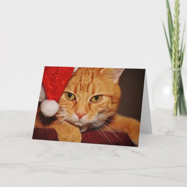 Orange Santa Kattunge: God jul från Katten Helgkort (Framsida)