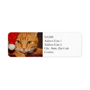 Orange Santa Kattunge: God jul från Katten Returadress Etikett