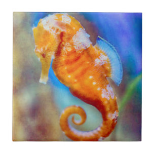 Orange Seahorse delight Kakelplatta