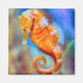 Orange Seahorse delight Magnet