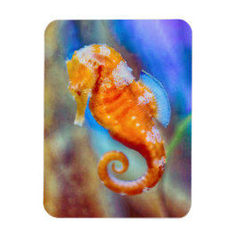 Orange Seahorse delight Magnet