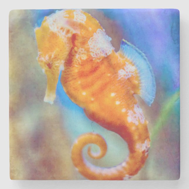 Orange Seahorse delight Stenunderlägg (Framsidan)