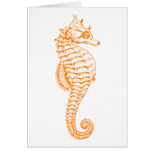 Orange Seahorse Hälsningskort