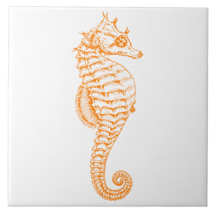 Orange Seahorse Kakelplatta