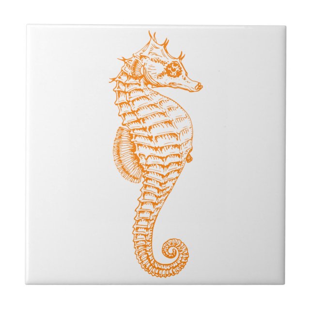 Orange Seahorse Kakelplatta (Framsidan)