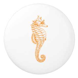 Orange Seahorse Knopp