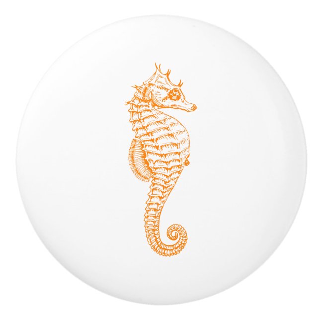 Orange Seahorse Knopp (Framsidan)