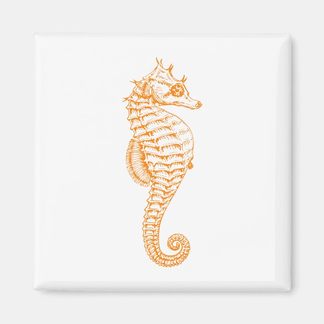 Orange Seahorse Magnet (Framsidan)